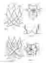 Fig. 02 - ENDOLUMINAL CARDIAC AND VENOUS VALVE PROSTHESES AND METHODS OF MANUFACTURE AND DELIVERY THEREOF