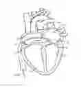Fig. 01 - Devices and methods for treating valvular regurgitation