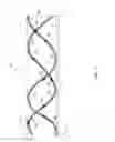 Fig. 02 - RADIOACTIVE STENT