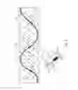 Fig. 05 - RADIOACTIVE STENT