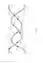 Fig. 08 - RADIOACTIVE STENT