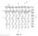 Fig. 07 - Scaffolds having variable wall thickness