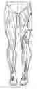 Fig. 01 - Cutaneous proprioreceptive activation garment system