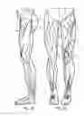 Fig. 02 - Cutaneous proprioreceptive activation garment system
