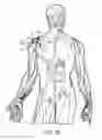 Fig. 06 - Cutaneous proprioreceptive activation garment system