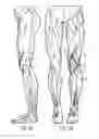 Fig. 09 - Cutaneous proprioreceptive activation garment system
