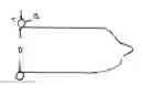 Fig. 01 - Condom