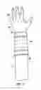 Fig. 02 - Snap Compression Bandage and Wrap