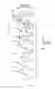 Fig. 08 - UNDERPANTS-TYPE ABSORBENT ARTICLE