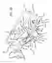 Fig. 03 - Surgical frame and method for use thereof facilitating articulatable support for a patient during surgery