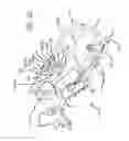 Fig. 05 - Surgical frame and method for use thereof facilitating articulatable support for a patient during surgery