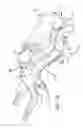 Fig. 09 - Surgical frame and method for use thereof facilitating articulatable support for a patient during surgery
