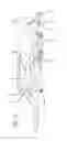 Fig. 11 - Surgical frame and method for use thereof facilitating articulatable support for a patient during surgery