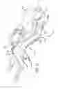 Fig. 12 - Surgical frame and method for use thereof facilitating articulatable support for a patient during surgery