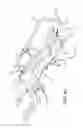 Fig. 15 - Surgical frame and method for use thereof facilitating articulatable support for a patient during surgery