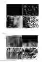 Fig. 02 - A COMPOSITION FOR ORAL APPLICATION AND A METHOD FOR PREPARING THE SAME