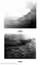 Fig. 06 - ACTIVE COMBINATIONS, COMPOSITIONS AND METHODS FOR ENHANCING HAIR GROWTH