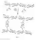 Fig. 03 - MONOLITHIC TABLETS BASED ON CARBOXYL POLYMERIC COMPLEXES FOR CONTROLLED DRUG RELEASE