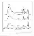 Fig. 15 - MONOLITHIC TABLETS BASED ON CARBOXYL POLYMERIC COMPLEXES FOR CONTROLLED DRUG RELEASE