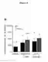 Fig. 09 - Method for treating vaginal dryness by administering transient receptor potential cation channel subfamily M member 8 (TRPM8) receptor agonists
