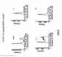 Fig. 10 - OXAZOLE AND THIAZOLE COMPOUNDS AS BETA-CATENIN MODULATORS AND USES THEREOF