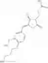 Fig. 1562 - OXAZOLE AND THIAZOLE COMPOUNDS AS BETA-CATENIN MODULATORS AND USES THEREOF