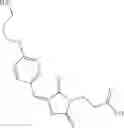 Fig. 1587 - OXAZOLE AND THIAZOLE COMPOUNDS AS BETA-CATENIN MODULATORS AND USES THEREOF