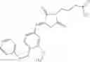 Fig. 1613 - OXAZOLE AND THIAZOLE COMPOUNDS AS BETA-CATENIN MODULATORS AND USES THEREOF