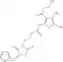Fig. 2004 - OXAZOLE AND THIAZOLE COMPOUNDS AS BETA-CATENIN MODULATORS AND USES THEREOF