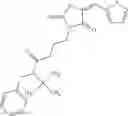 Fig. 2009 - OXAZOLE AND THIAZOLE COMPOUNDS AS BETA-CATENIN MODULATORS AND USES THEREOF
