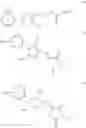 Fig. 2304 - OXAZOLE AND THIAZOLE COMPOUNDS AS BETA-CATENIN MODULATORS AND USES THEREOF