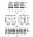Fig. 06 - Histone deacetylase as a modulator of PDL1 expression and activity