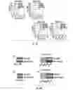 Fig. 07 - Histone deacetylase as a modulator of PDL1 expression and activity