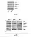 Fig. 10 - Histone deacetylase as a modulator of PDL1 expression and activity