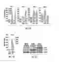 Fig. 16 - Histone deacetylase as a modulator of PDL1 expression and activity