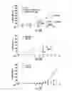 Fig. 18 - Histone deacetylase as a modulator of PDL1 expression and activity
