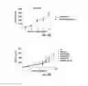 Fig. 19 - Histone deacetylase as a modulator of PDL1 expression and activity
