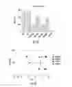 Fig. 28 - Histone deacetylase as a modulator of PDL1 expression and activity