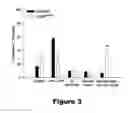 Fig. 04 - COMPOSITIONS AND METHODS FOR THE TREATMENT OF JUVENILE NEURONAL CEROID LIPOFUSCINOSIS AND RELATED DISORDERS