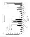 Fig. 17 - COMPOSITIONS AND METHODS FOR THE TREATMENT OF JUVENILE NEURONAL CEROID LIPOFUSCINOSIS AND RELATED DISORDERS
