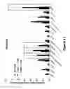 Fig. 18 - COMPOSITIONS AND METHODS FOR THE TREATMENT OF JUVENILE NEURONAL CEROID LIPOFUSCINOSIS AND RELATED DISORDERS