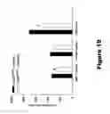 Fig. 20 - COMPOSITIONS AND METHODS FOR THE TREATMENT OF JUVENILE NEURONAL CEROID LIPOFUSCINOSIS AND RELATED DISORDERS