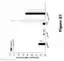 Fig. 25 - COMPOSITIONS AND METHODS FOR THE TREATMENT OF JUVENILE NEURONAL CEROID LIPOFUSCINOSIS AND RELATED DISORDERS