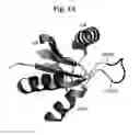 Fig. 08 - FLAGELLAR AND NEEDLE COMPLEX (INJECTOSOME) LOOP AS ANTI BACTERIAL DRUG TARGET