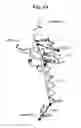 Fig. 11 - FLAGELLAR AND NEEDLE COMPLEX (INJECTOSOME) LOOP AS ANTI BACTERIAL DRUG TARGET