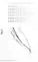 Fig. 16 - FLAGELLAR AND NEEDLE COMPLEX (INJECTOSOME) LOOP AS ANTI BACTERIAL DRUG TARGET