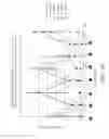Fig. 17 - MTOR PATHWAY INHIBITORS FOR TREATING OCULAR DISORDERS