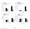 Fig. 02 - Use of ginsenoside M1 for treating lupus nephritis