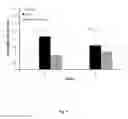 Fig. 04 - Use of ginsenoside M1 for treating lupus nephritis