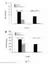 Fig. 07 - Use of ginsenoside M1 for treating lupus nephritis